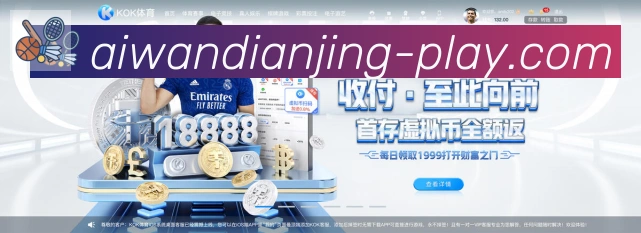 爱玩电竞荣誉